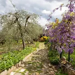 Lejlighed Il Poggio Dell'eremita Rigomagno