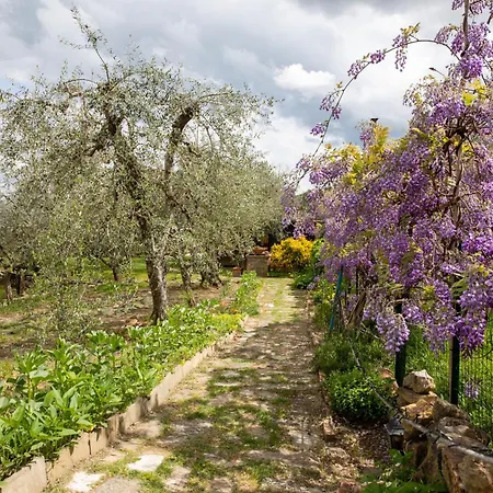 Апартаменты Il Poggio Dell'eremita Rigomagno