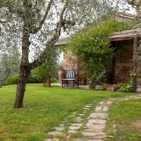 Il Poggio Dell'eremita Lejlighed Rigomagno
