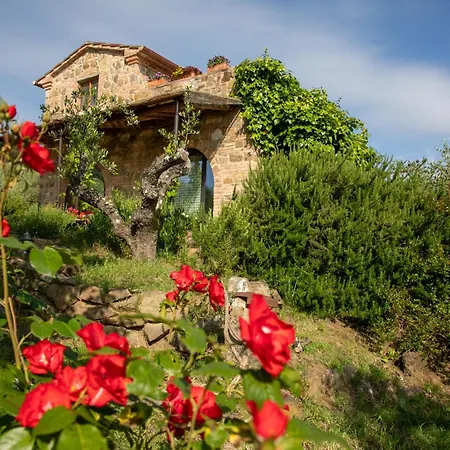 Il Poggio Dell'eremita Rigomagno