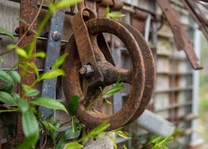 Daire Il Poggio Dell'eremita *