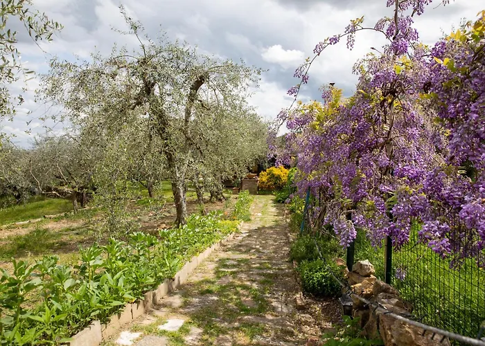 Daire Il Poggio Dell'eremita Rigomagno