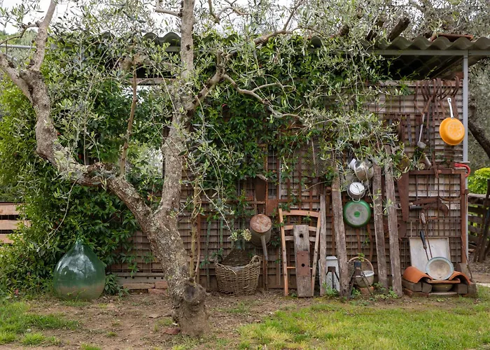 Il Poggio Dell'eremita *