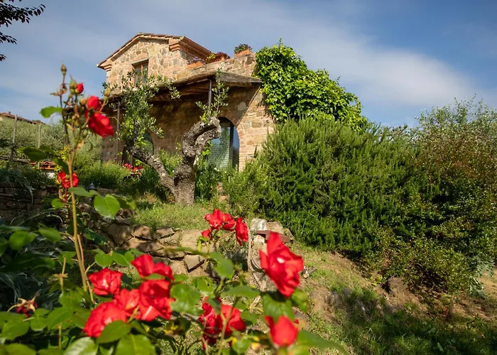 Il Poggio Dell'eremita Rigomagno